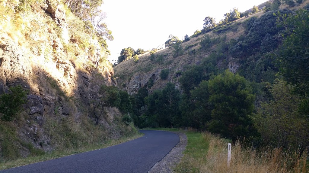 Wild Dog Creek Streamside Reserve | park | Wild Dog Rd, Apollo Bay VIC 3233, Australia