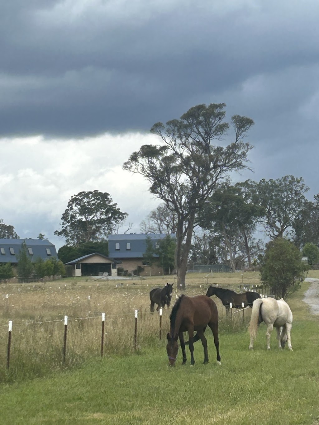 Hobby Horse Ranch, Armidale NSW | 79 Platform Rd, Armidale NSW 2350, Australia | Phone: 0411 249 729