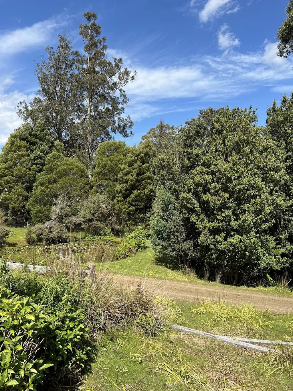 Judbury Bush Retreats | 189 Forest Hill Rd, Judbury TAS 7109, Australia | Phone: 0432 391 504