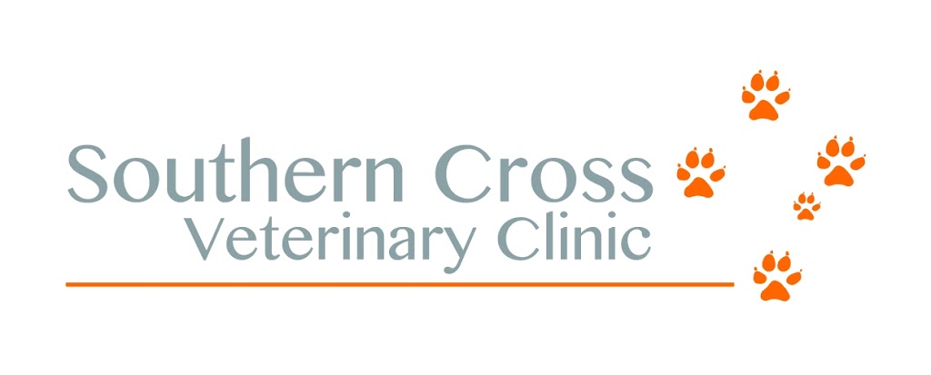 Southern Cross Vet SEQ | 20 Jersey Ct, Tallebudgera QLD 4228, Australia | Phone: 0418 777 023