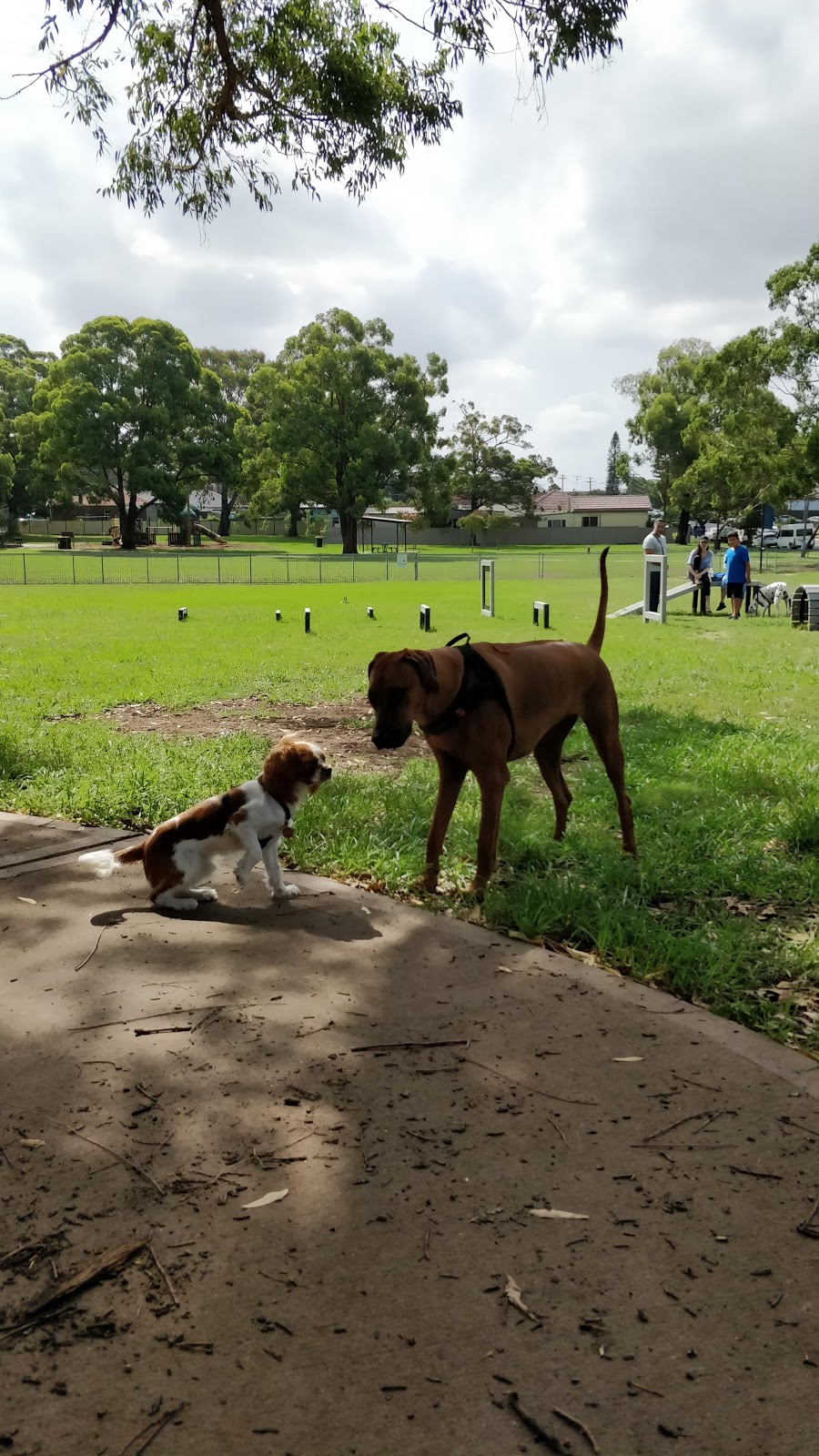 Deakin Park | Beaconsfield St, Silverwater NSW 2128, Australia | Phone: (02) 9806 5140