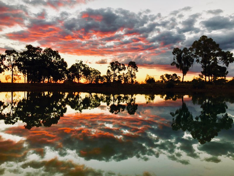 Narrabri Fish Farm | 261 Tuppiari Rd, Jacks Creek NSW 2390, Australia | Phone: 0428 749 606