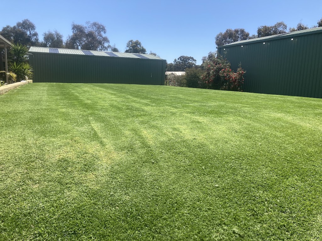 Ty’s lawn mowing | Nancarrow Way, Ravenswood WA 6208, Australia | Phone: 0498 598 360