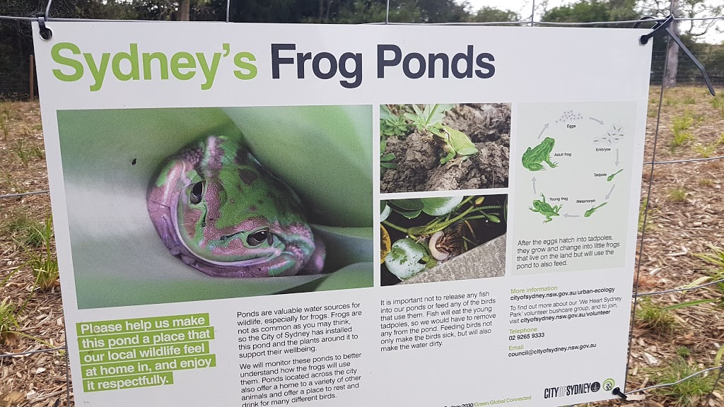 Frog Pond | park | Rosebery NSW 2018, Australia | 0292659333 OR +61 2 9265 9333