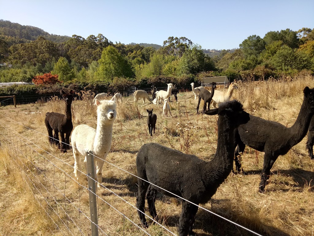 Mossvale Alpacas | food | OHallorans Rd, Geeveston TAS 7116, Australia | 0412430982 OR +61 412 430 982