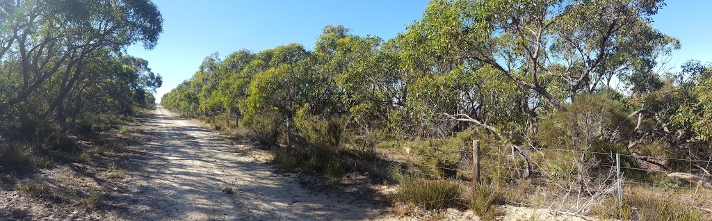 Cox Scrub Conservation Park | park | Bull Creek Rd, Ashbourne SA 5157, Australia