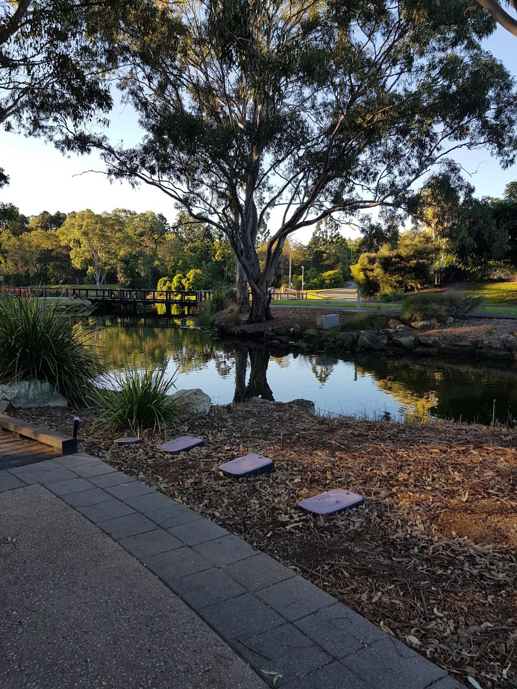 Gold Coast Regional Botanic Gardens | park | 230 Ashmore Rd, Benowa QLD 4217, Australia