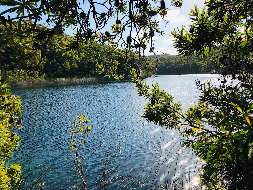 Blue Lake National Park | North Stradbroke Island QLD 4183, Australia | Phone: 13 74 68