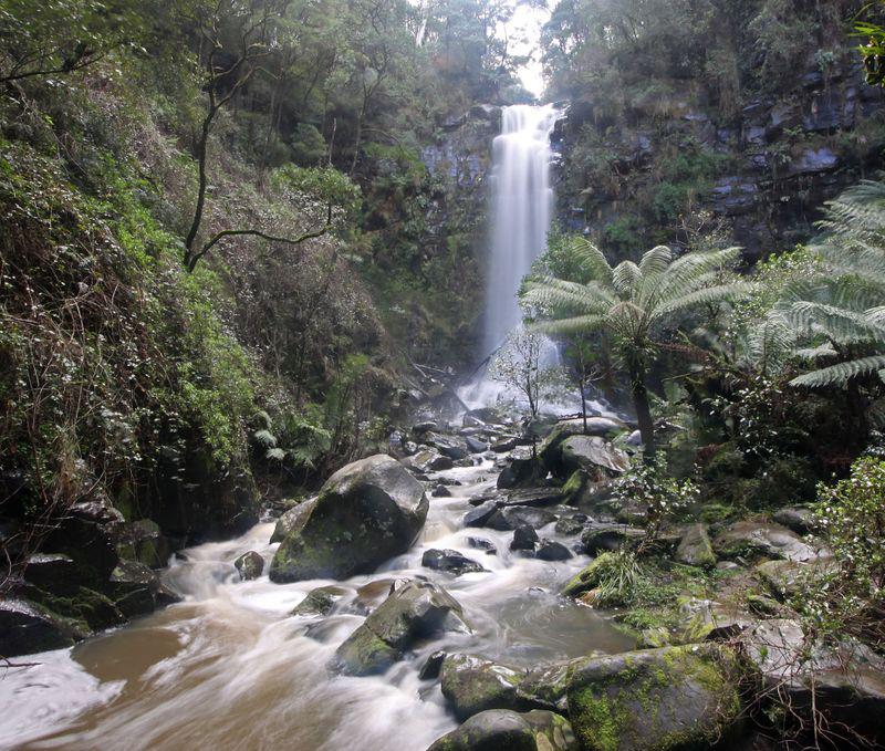 Great Otway National Park | Cape Otway VIC 3233, Australia | Phone: 13 19 63