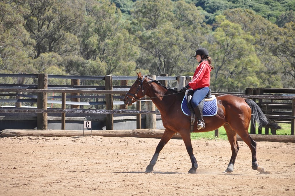 Scenic NSW Equine Centre | 205 Campbelltown Rd, Denham Court NSW 2565, Australia | Phone: (02) 9605 7410