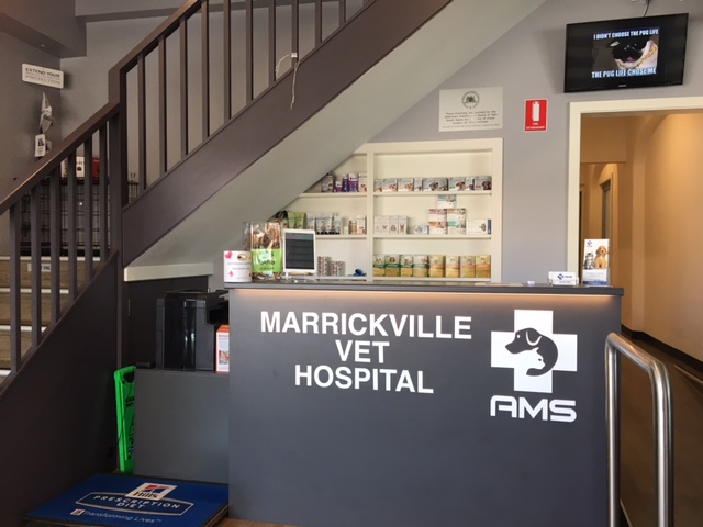 Marrickville Vet Hospital AMS | pharmacy | 402 Illawarra Rd, Marrickville NSW 2204, Australia | 0295582500 OR +61 2 9558 2500