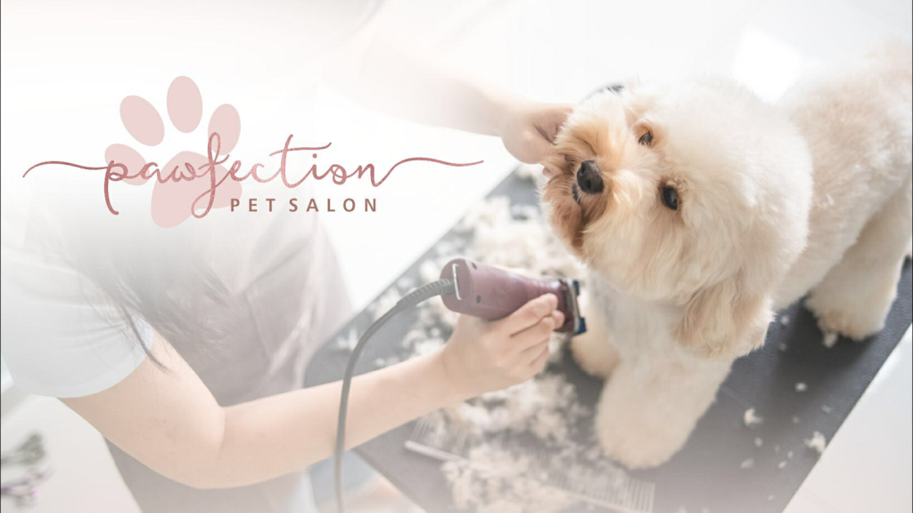 Pawfection Pet Salon | 8 Ware Pl, Berwick VIC 3806, Australia | Phone: 0478 779 480