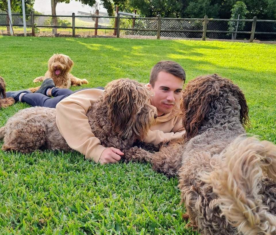Fur Therapy Australia | Eucalyptus Dr, Banora Point NSW 2486, Australia | Phone: 0418 976 971