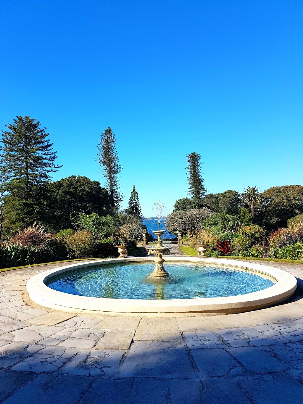 Government House Gardens | park | Macquarie St, Sydney NSW 2000, Australia | 0292284111 OR +61 2 9228 4111