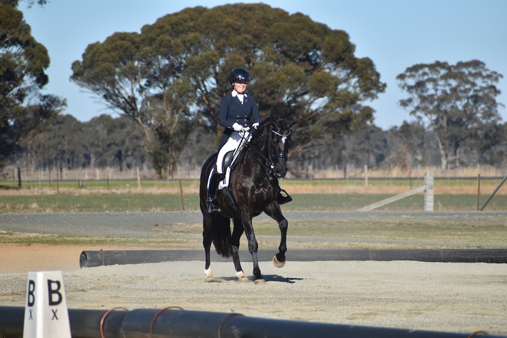 Eliza Pamela Equestrian | 575 Craven Rd, Tatura East VIC 3616, Australia | Phone: 0498 999 628 Eliza Pamela Equestrian | 575 Craven Rd, Tatura East VIC 3616, Australia | Phone: 0498 999 628