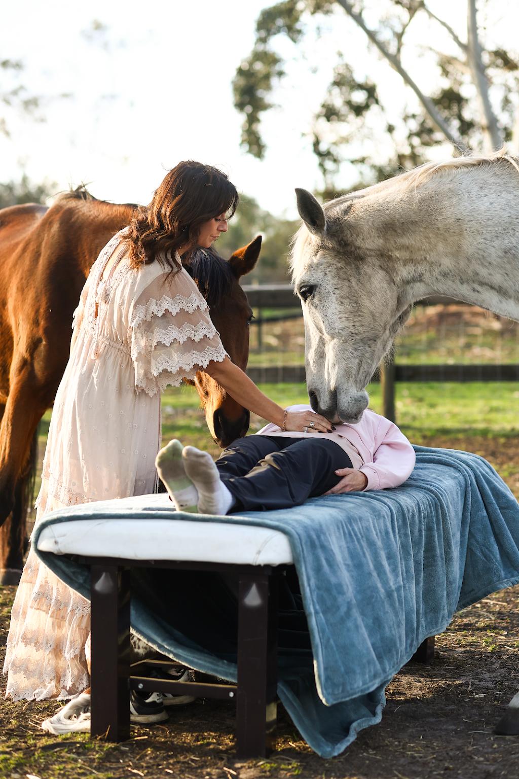 Somatic Equine Energy | Pearcedale Rd, Cranbourne South VIC 3977, Australia | Phone: 0434 437 637