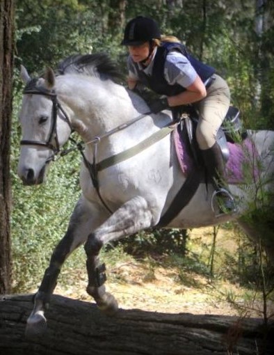 Allison Wright Equestrian | 475 Raaen Rd, Bracalba QLD 4512, Australia | Phone: 0468 585 529
