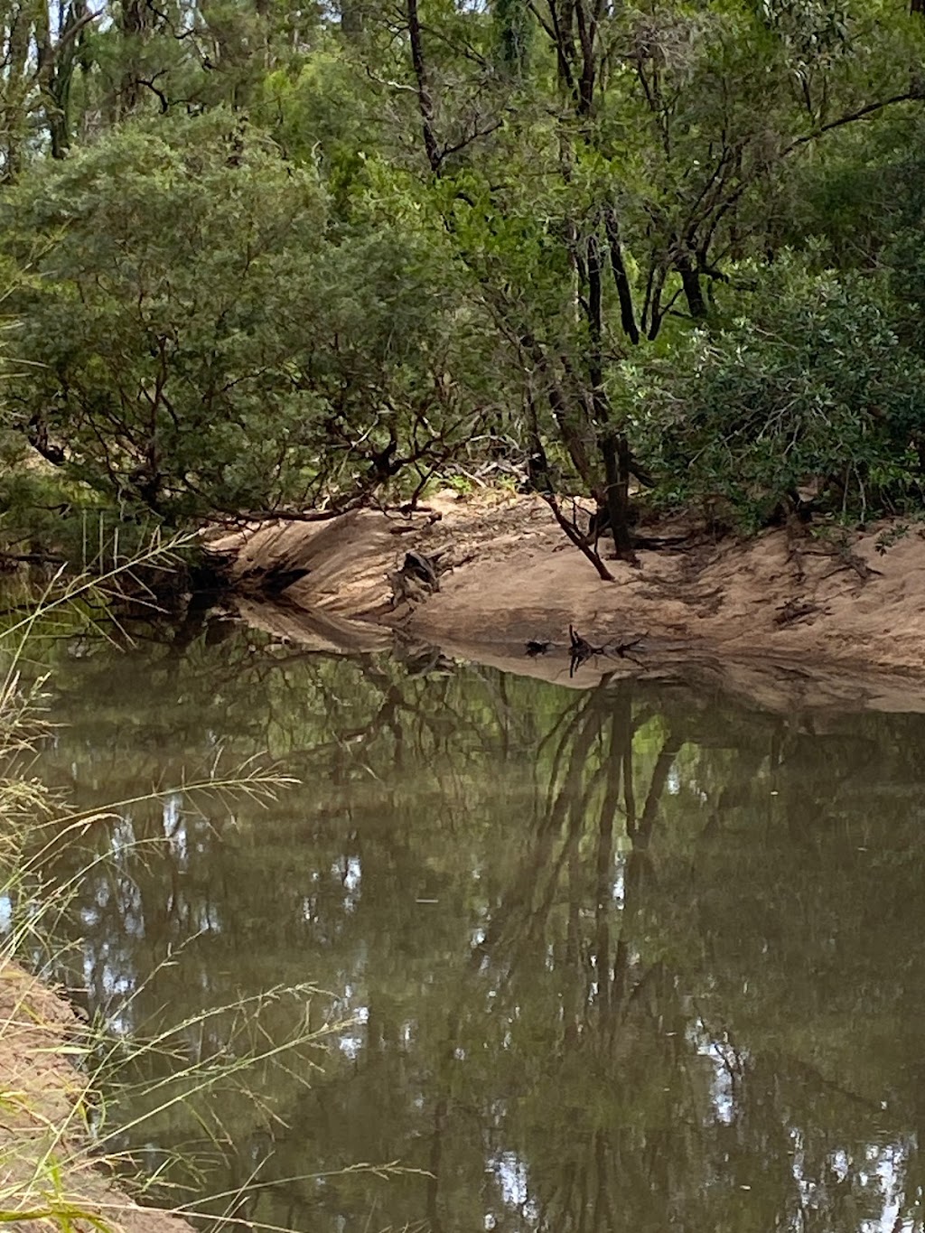 Platypus Point | Platypus Point, 6054 Bruxner Hwy, Tabulam NSW 2469, Australia | Phone: 0412 130 794