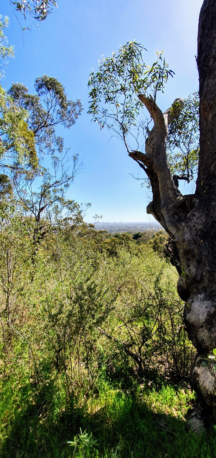 Brown Hill Trig | park | Brown Hill Creek SA 5062, Australia