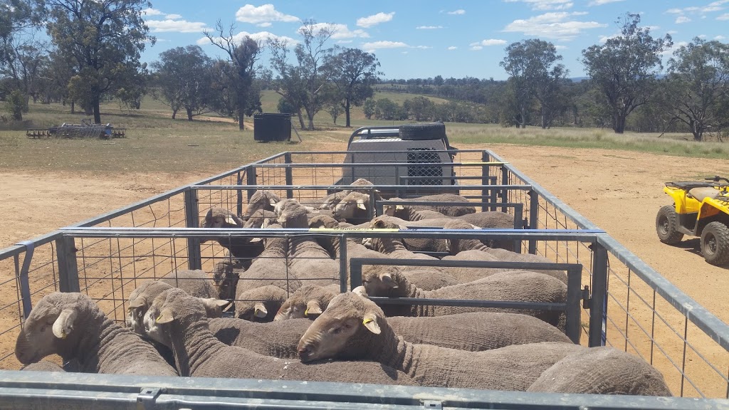 CASSILIS PARK MERINO STUD |  | Wirroolga, 9843 Golden Hwy, Cassilis NSW 2329, Australia | 0412926525 OR +61 412 926 525