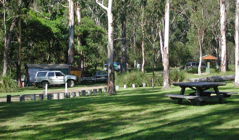 Chaelundi campground | Misty Creek Road, The Gulf NSW 2365, Australia | Phone: (02) 6657 2309