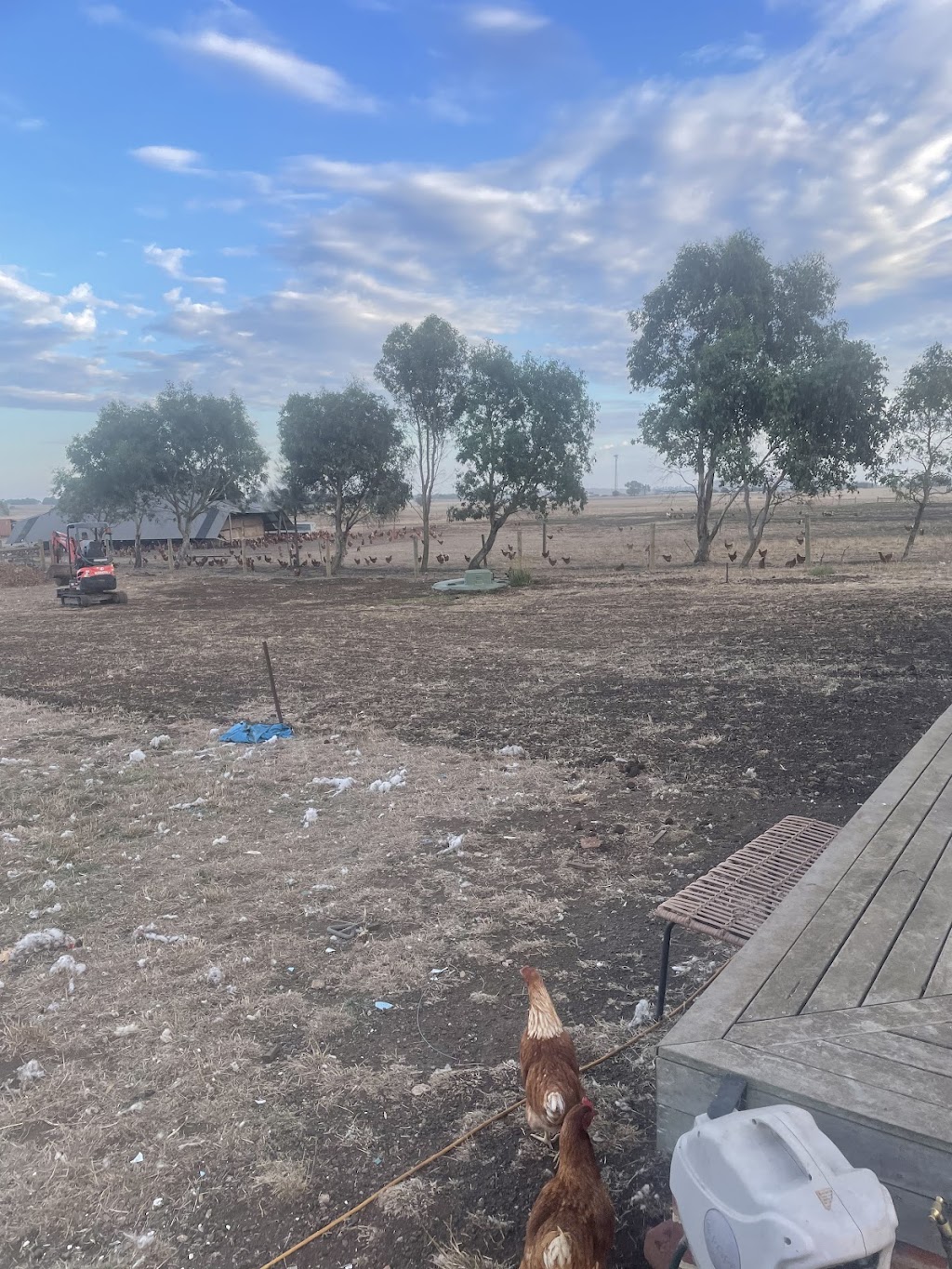 Otway Mowing And Pruning | 381 Murray St, Colac VIC 3250, Australia | Phone: 0400 119 409