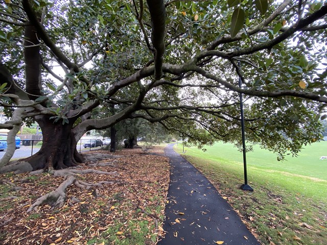 Waverley Park Dog Off Leash Area | 1 Sylvester Cres, Malvern East VIC 3145, Australia | Phone: 0408 114 414