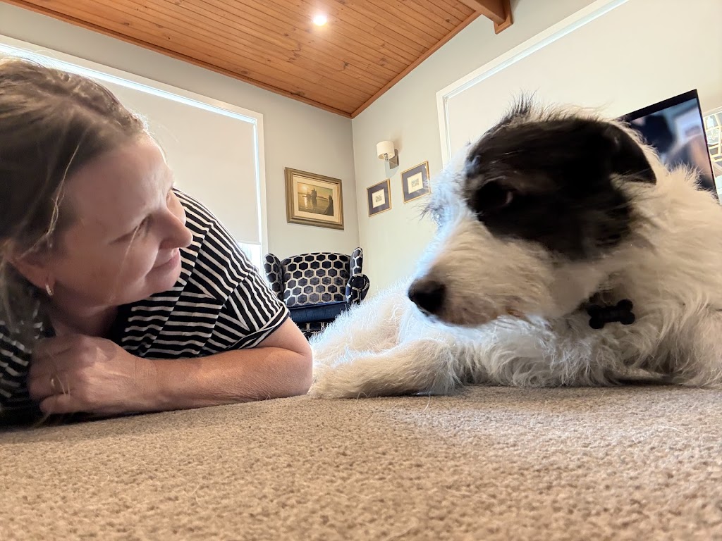 Pack Leader Dog Services | 15 Charlotte St, Holmesville NSW 2286, Australia | Phone: 0415 421 805