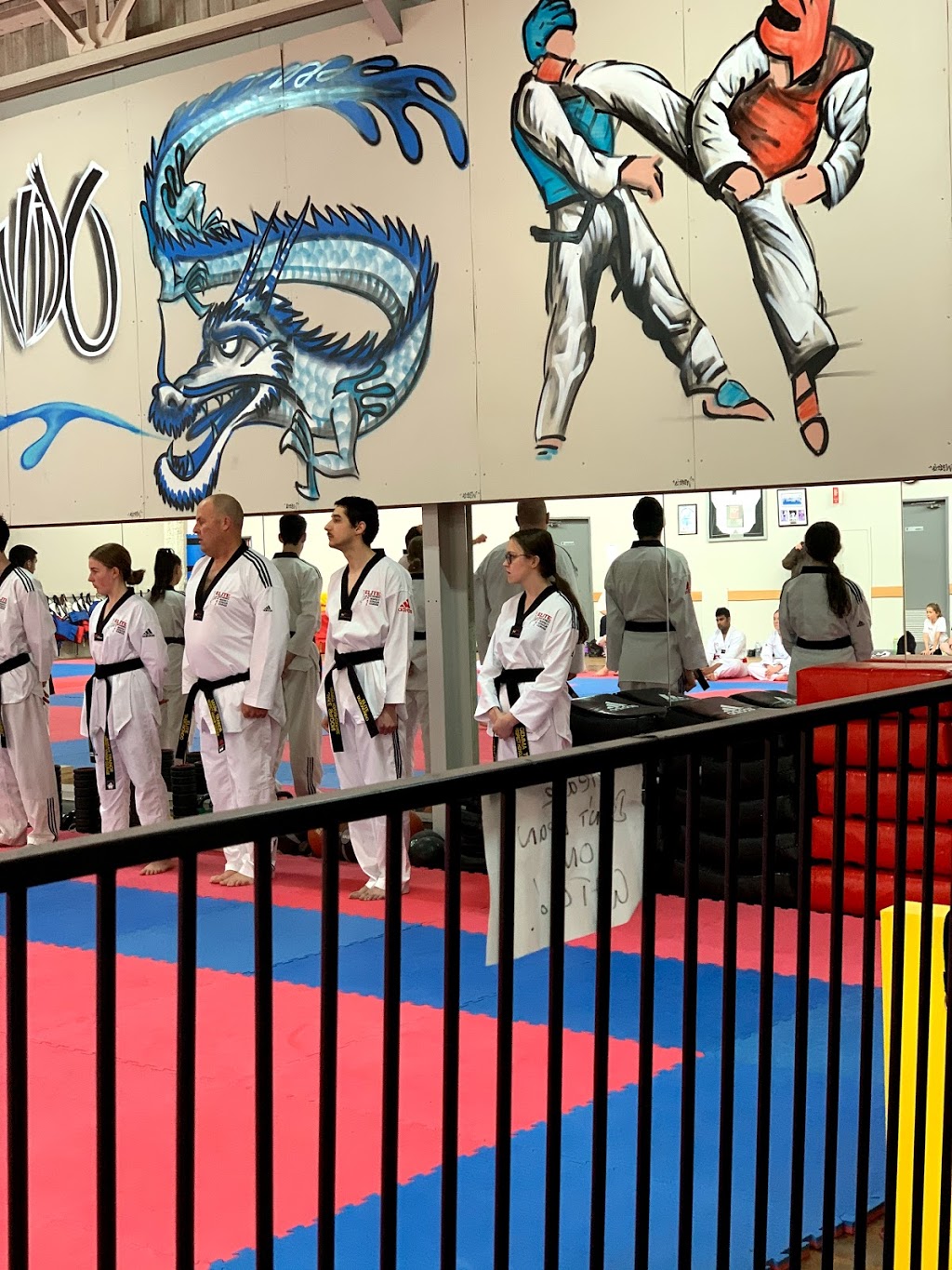 Elite Taekwondo | The Arena 110 Victoria Street Enter Via, Baxter Rd, North Geelong VIC 3215, Australia | Phone: 0418 137 144