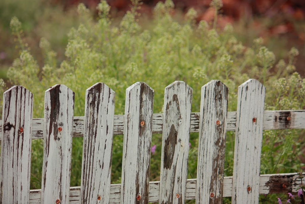 Wagga Fencing | 4 Depazzi Pl, Lake Albert NSW 2650, Australia | Phone: (02) 3813 8432