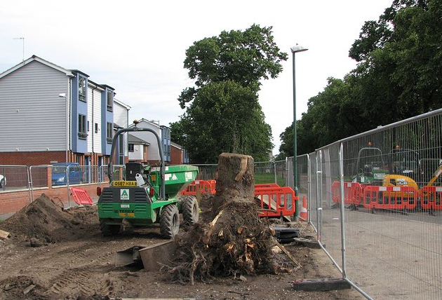 Caboolture Tree Removal North lakes | 3 Mason Ave, Kallangur QLD 4503, Australia | Phone: (07) 3064 0688