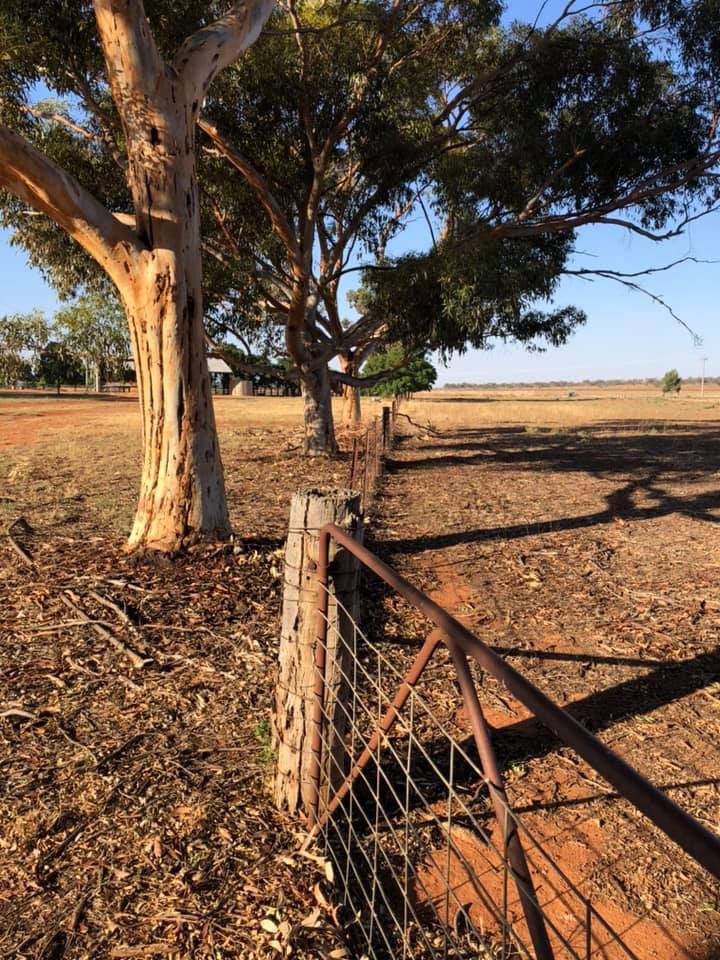 Ingleden Park Bed and Breakfast Farmstay Cottages | 225 Coghlan Rd, Widgelli NSW 2680, Australia | Phone: (02) 6963 6527