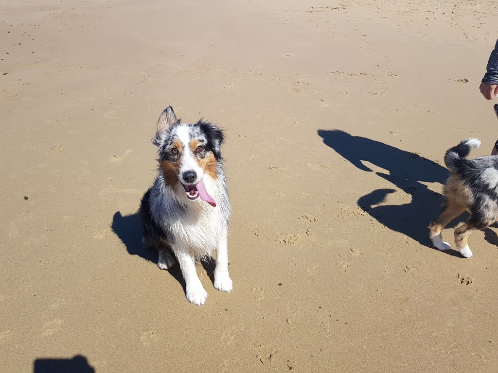 MM Beach | park | Gloucester Blvd, Port Kembla NSW 2505, Australia