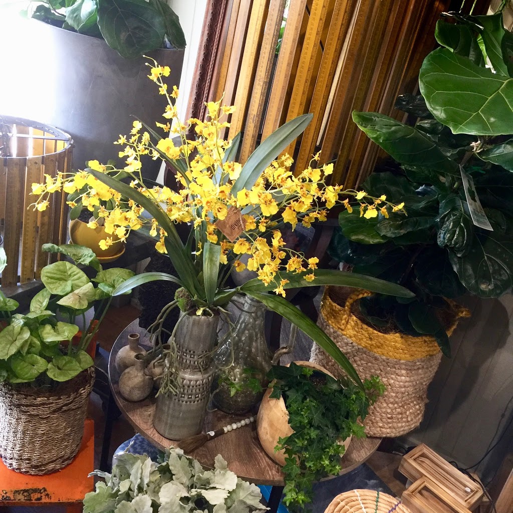 Divine Flowers Brisbane | florist | 196 Newmarket Rd, Wilston QLD 4051, Australia | 0738562000 OR +61 7 3856 2000