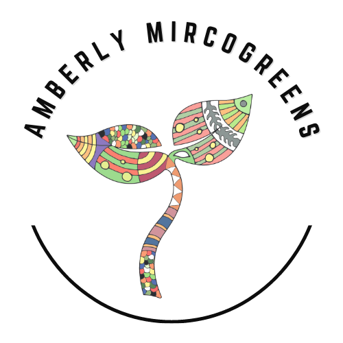 Amberly Microgreens | 325 Kambah Pool Rd, Australian Capital Territory 2902, Australia | Phone: 0401 639 408