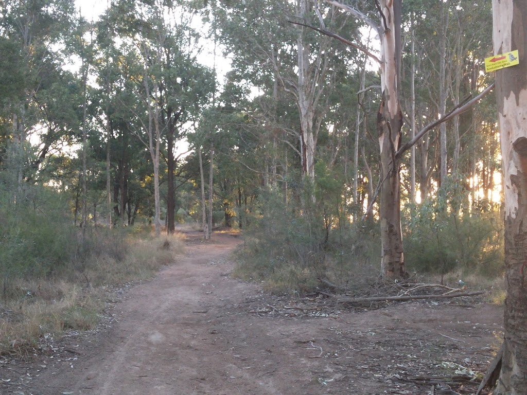 Kookaburra Walk | 13 Mulbring St, Kurri Kurri NSW 2327, Australia