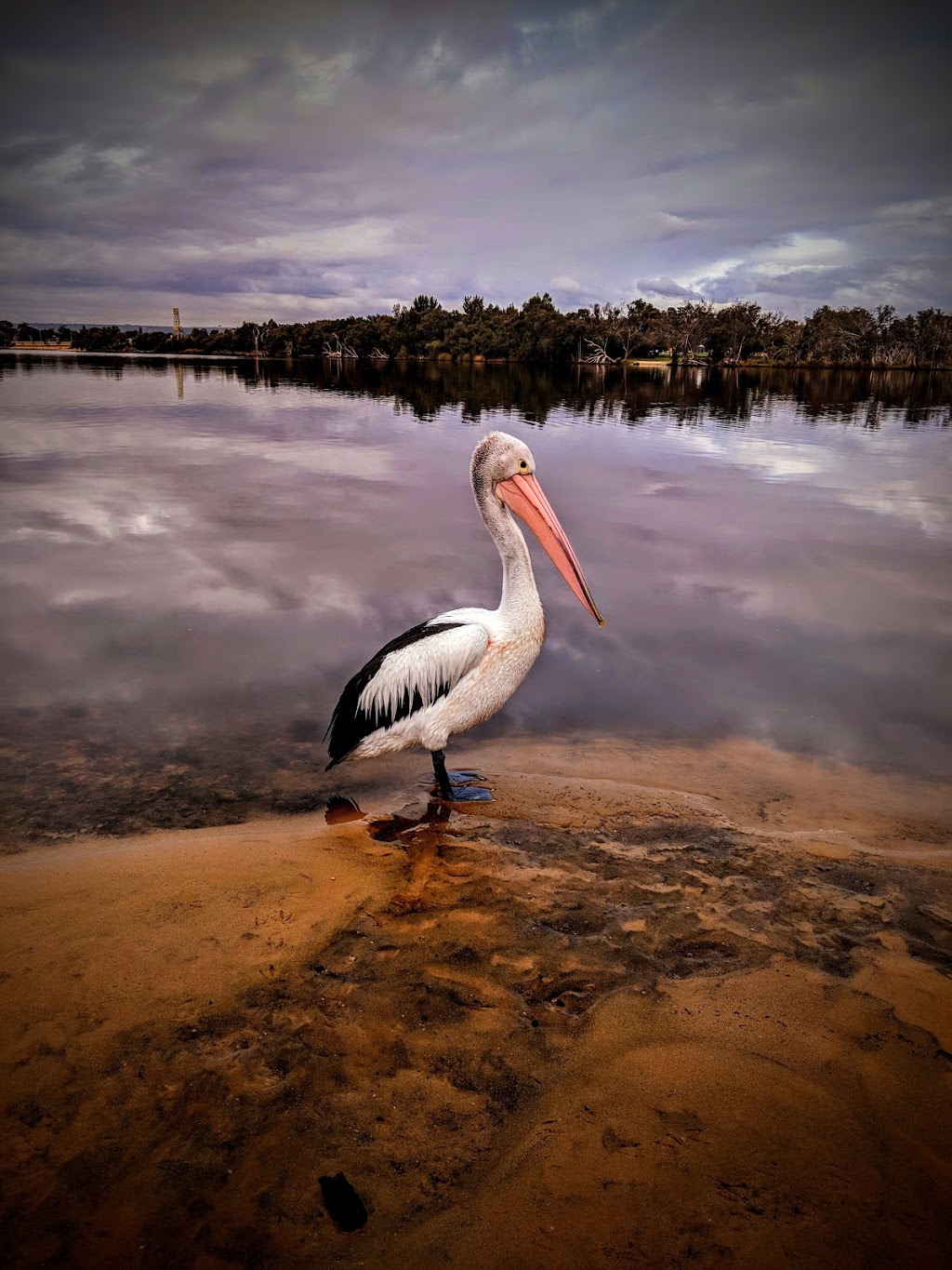 Garratt Road Bridge Park | park | Bayswater WA 6053, Australia