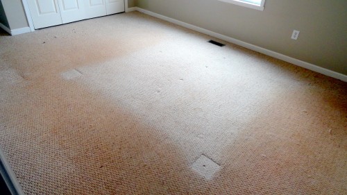 Carpet Cleaning Rye | 34 Yarrayne St, Rye VIC 3941, Australia | Phone: (03) 4427 7966