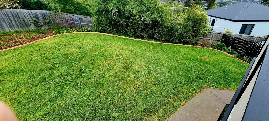 Trim, Cut & Mow | 9 Charlton St, Snug TAS 7054, Australia | Phone: 0402 352 836