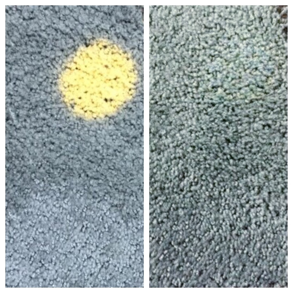 Fresh & Healthy Carpet Cleaning Northern Beaches | 7 Grosvenor Pl, Brookvale NSW 2100, Australia | Phone: (02) 8311 0671