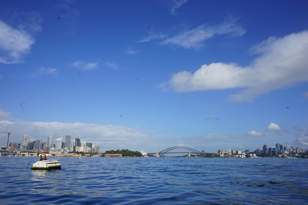 Sydney Harbour Safaris Boat Tours | 8 Lowing Cl, Forestville NSW 2087, Australia | Phone: 0490 701 016