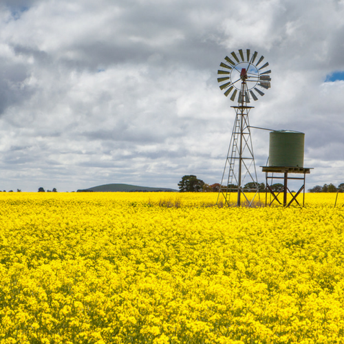 Western General Insurance Agency | 7 Victoria St, Nhill VIC 3418, Australia | Phone: (03) 5382 0344