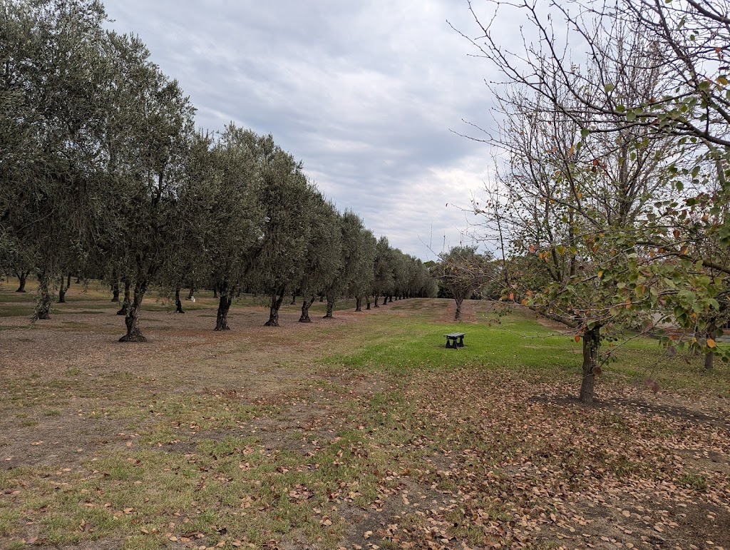 Manzanillo Grove Luxury Accommodation | 90 Drakes Rd, Drysdale VIC 3222, Australia | Phone: 0417 517 121