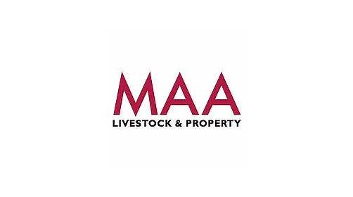 MAA Livestock & Property Pty Ltd | 37 McDowall St, Roma QLD 4455, Australia | Phone: (07) 4620 1888