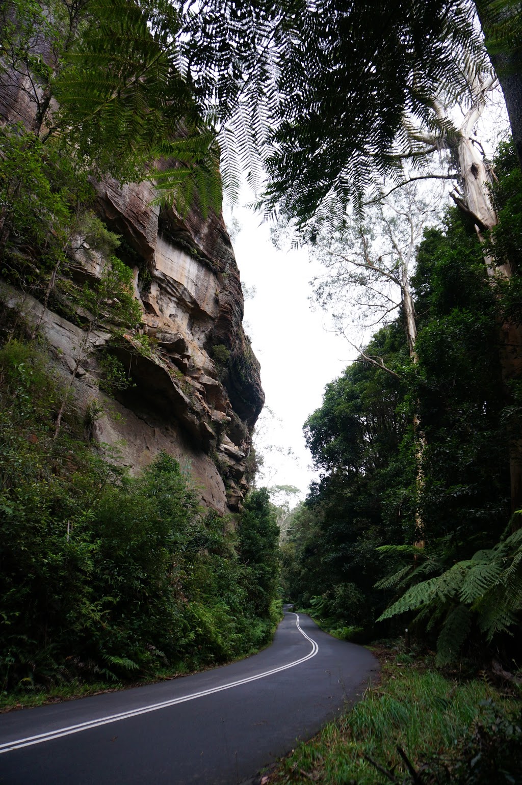 Mermaids Cave Recreation Reserve | Blackheath NSW 2785, Australia