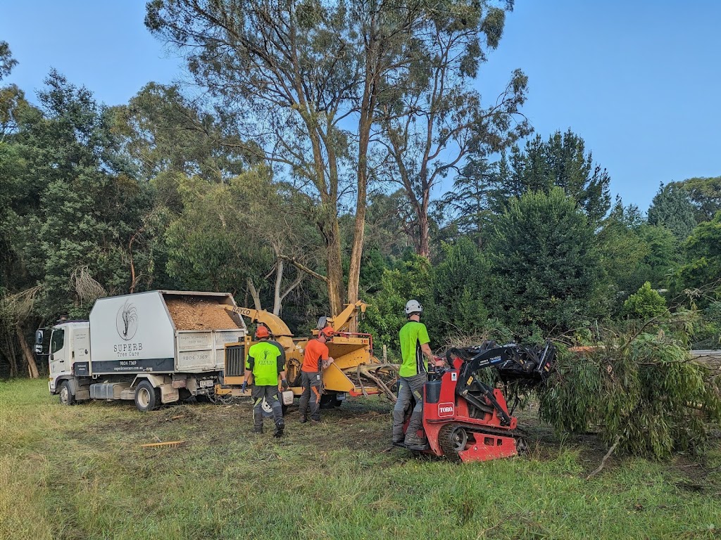 Superb Tree Care | 57 Kilvington Dr, Emerald VIC 3782, Australia | Phone: (03) 9804 7369