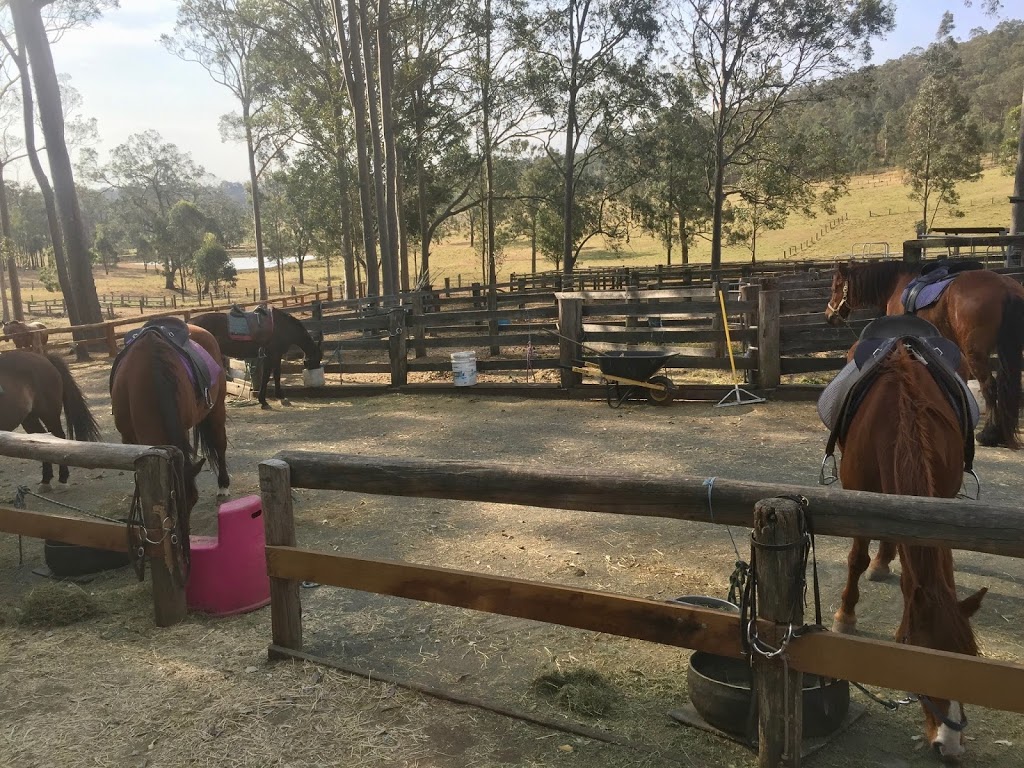 Hunter Valley Horse Riding & Adventures | travel agency | 288 Talga Rd, Lovedale NSW 2325, Australia | 0249307111 OR +61 2 4930 7111