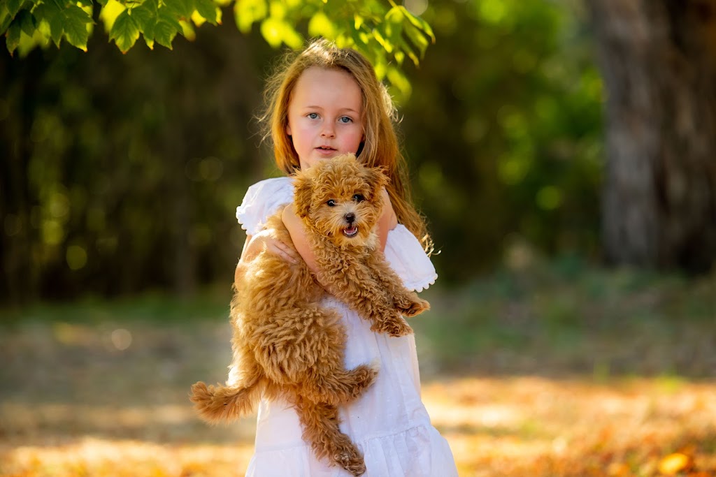 Natural Focus Photography | 29 Putty Rd, Wilberforce NSW 2756, Australia | Phone: 0414 516 845