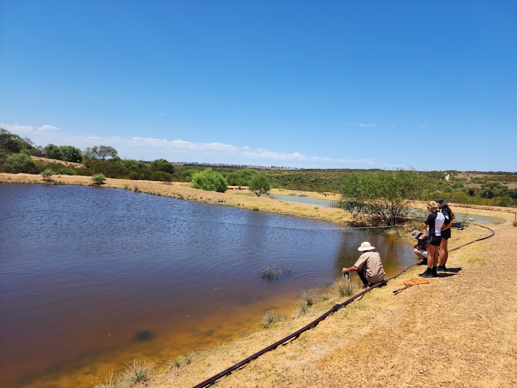 Chapman Valley Fishing Park | 388 Hickety Rd, Nabawa WA 6532, Australia | Phone: 0400 618 484