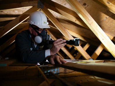 Asset Guard Pest Control | 5 Aletta St, Shailer Park QLD 4128, Australia | Phone: 0481 090 563